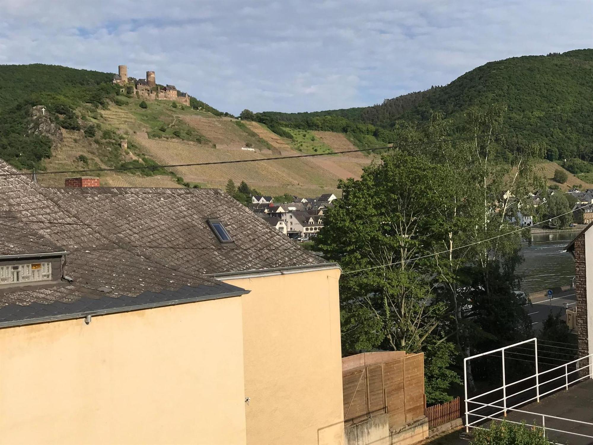 Bio-Ferienweingut Leyendecker Apartment Kattenes Exterior foto